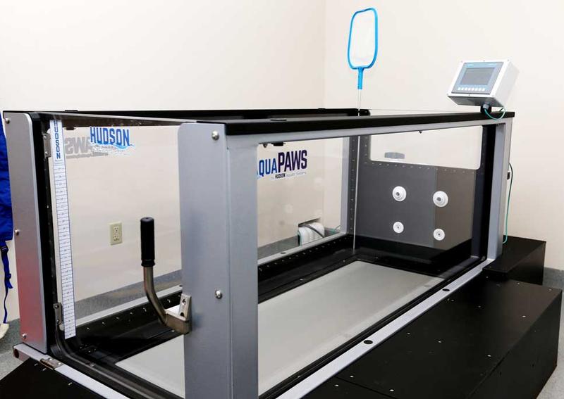 Carousel Slide 4: Hydrotherapy for Dogs