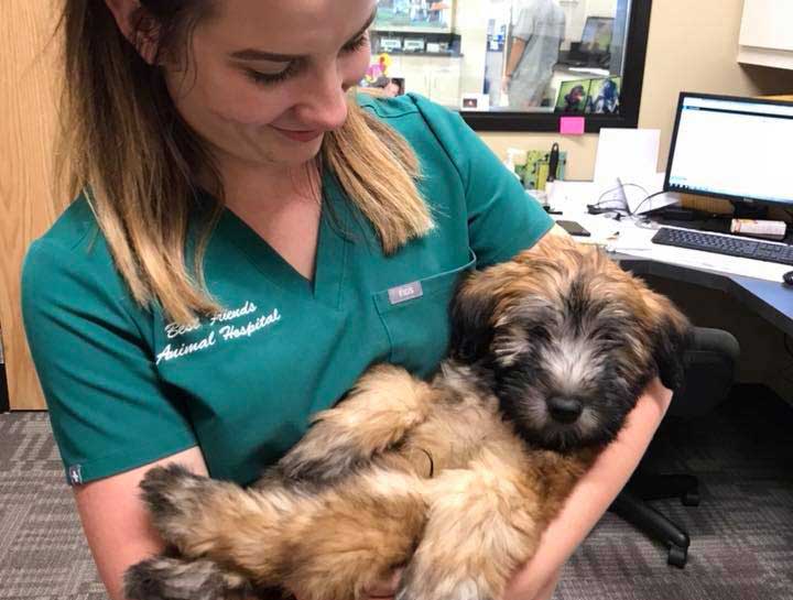 Puppy & Kitten Care